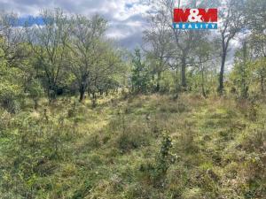 Prodej zahrady, Lešany, 5897 m2