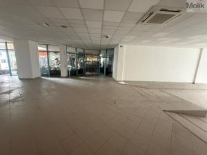 Pronájem obchodního prostoru, Litvínov - Horní Litvínov, 9. května, 204 m2