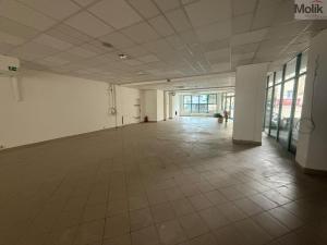 Pronájem obchodního prostoru, Litvínov - Horní Litvínov, 9. května, 204 m2