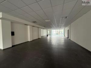 Pronájem obchodního prostoru, Litvínov - Horní Litvínov, 9. května, 204 m2