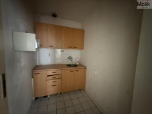 Pronájem obchodního prostoru, Litvínov - Horní Litvínov, 9. května, 204 m2