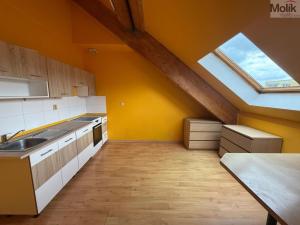 Pronájem bytu 4+kk, Litvínov - Horní Litvínov, 9. května, 172 m2