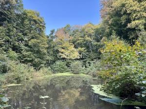 Prodej ubytování, Okounov - Oslovice, 600 m2