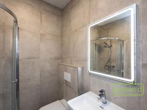 Pronájem bytu 1+kk, Praha - Smíchov, Pod Barvířkou, 28 m2