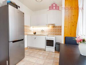 Prodej bytu 1+kk, Vigantice, 36 m2