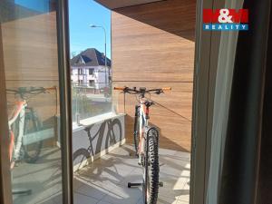Prodej bytu 1+kk, Pardubice - Bílé Předměstí, Štrossova, 37 m2