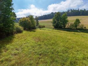 Prodej pozemku, Lomnice - Brusná, 3532 m2