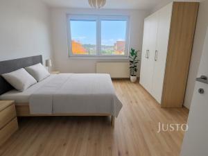 Pronájem bytu 2+1, Protivín, B. Němcové, 58 m2