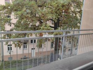 Pronájem bytu 2+1, Děčín - Děčín IV-Podmokly, Divišova, 57 m2