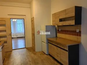 Pronájem bytu 2+1, Děčín - Děčín IV-Podmokly, Divišova, 57 m2