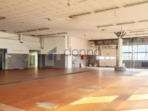Pronájem obchodního prostoru, Praha, Za Mototechnou, 1137 m2