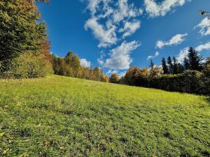 Prodej rodinného domu, Vápenná, 392 m2