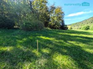 Prodej pozemku pro bydlení, Kladruby, 770 m2