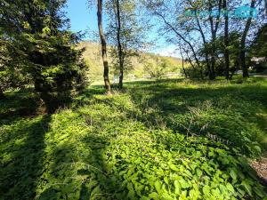 Prodej pozemku pro bydlení, Kladruby, 770 m2