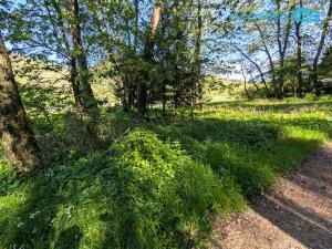 Prodej pozemku pro bydlení, Kladruby, 770 m2