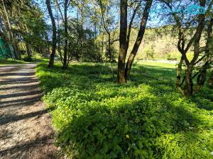 Prodej pozemku pro bydlení, Kladruby, 770 m2