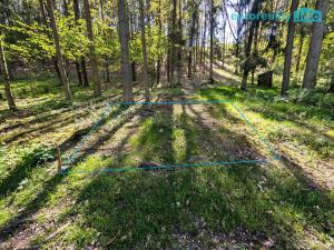 Prodej pozemku pro bydlení, Kladruby, 770 m2