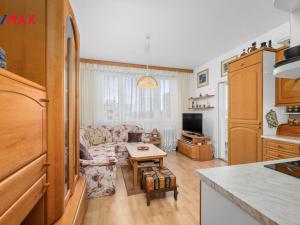 Prodej bytu 1+1, Tábor, Jaselská, 37 m2