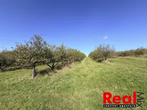 Prodej pozemku pro bydlení, Veverské Knínice, 3129 m2