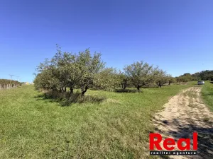 Prodej pozemku pro bydlení, Veverské Knínice, 3129 m2