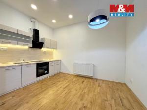 Pronájem bytu 2+kk, Litoměřice - Litoměřice-Město, Dlouhá, 55 m2