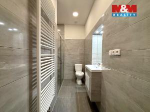 Pronájem bytu 2+kk, Litoměřice - Litoměřice-Město, Dlouhá, 55 m2