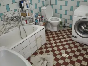 Prodej obchodního prostoru, Telč - Telč-Podolí, Svatoanenská, 600 m2