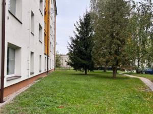 Pronájem bytu 2+kk, Lázně Bohdaneč, Za Školkou, 43 m2