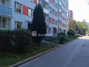 Pronájem bytu 1+1, Děčín - Děčín III-Staré Město, Jezdecká, 36 m2