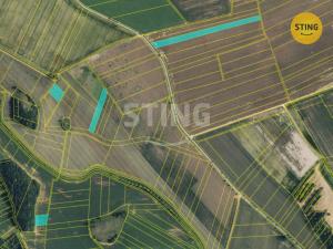 Prodej pole, Plumlov - Hamry, 8918 m2