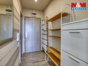 Pronájem bytu 1+kk, Dobřany, Sokolovská, 23 m2