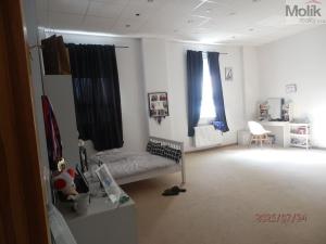 Prodej komerční nemovitosti, Vysoká Pec, 1300 m2