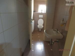 Prodej komerční nemovitosti, Vysoká Pec, 1300 m2