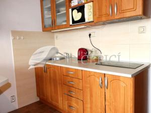 Pronájem bytu 1+kk, Brno - Řečkovice, Horácké náměstí, 26 m2