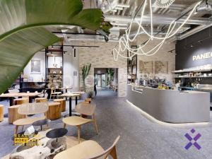 Pronájem bytu 1+kk, Brno, Bratislavská, 41 m2