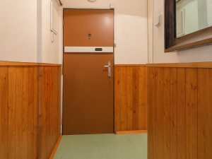 Prodej bytu 2+1, České Budějovice, Čéčova, 62 m2
