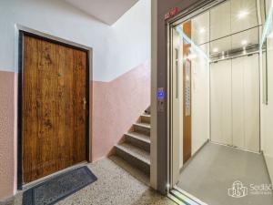 Prodej bytu 1+kk, Sokolov, Švabinského, 19 m2