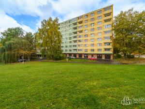 Prodej bytu 1+kk, Sokolov, Švabinského, 19 m2