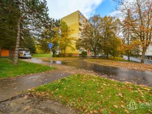 Prodej bytu 1+kk, Sokolov, Švabinského, 19 m2