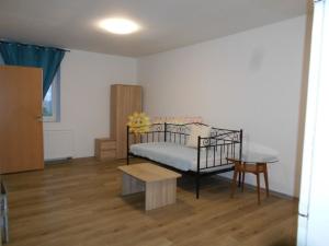 Pronájem bytu 1+kk, Hradec Králové - Svobodné Dvory, Bohdanečská, 25 m2