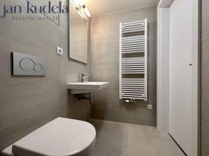 Pronájem bytu 1+kk, Brno, Placzkova, 27 m2