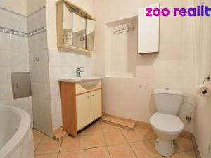 Pronájem bytu 1+1, Žatec, Oblouková, 42 m2