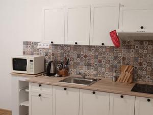 Pronájem bytu 2+1, Karlovy Vary, nábřeží Jana Palacha, 60 m2