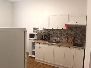 Pronájem bytu 2+1, Karlovy Vary, nábřeží Jana Palacha, 60 m2