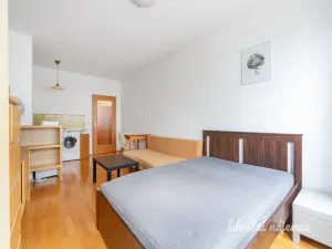 Pronájem bytu 1+kk, Praha - Michle, Jemnická, 28 m2