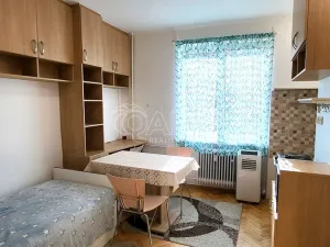 Pronájem bytu 1+kk, Brandýs nad Labem-Stará Boleslav - Brandýs nad Labem, Královická, 22 m2