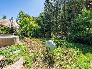 Prodej chalupy, Černé Voděrady, Borka, 51 m2