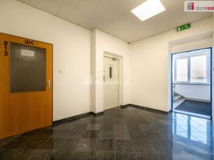 Pronájem bytu 1+kk, České Budějovice - České Budějovice 6, Novohradská, 17 m2