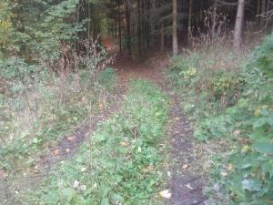 Prodej pole, Mrzky, 2259 m2