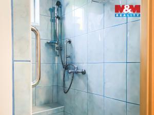 Prodej rodinného domu, Sušice - Sušice II, Jana Jáši, 160 m2